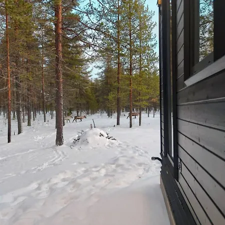 Borealis Village 8 With A Nature View, Fireplace, Sauna, Kitchen Hébergement de vacances *