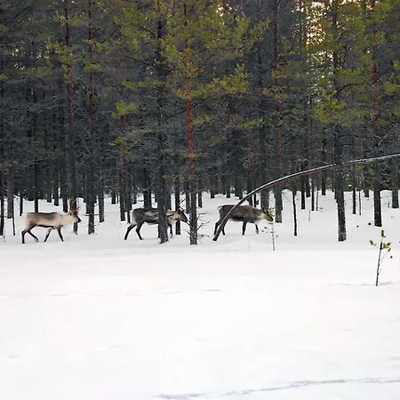 Borealis Village 8 With A Nature View, Fireplace, Sauna, Kitchen Casa vacanze *